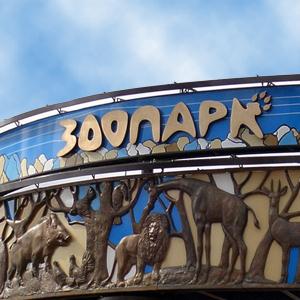 Зоопарки Нововоронежа